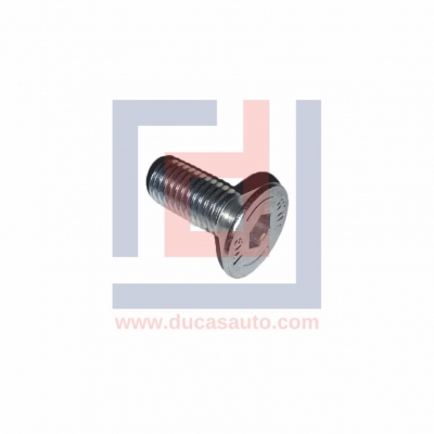 HB-İM-SR-KALİPER KAPAK CİVATASI-M12 x 1.75 x 20 mm